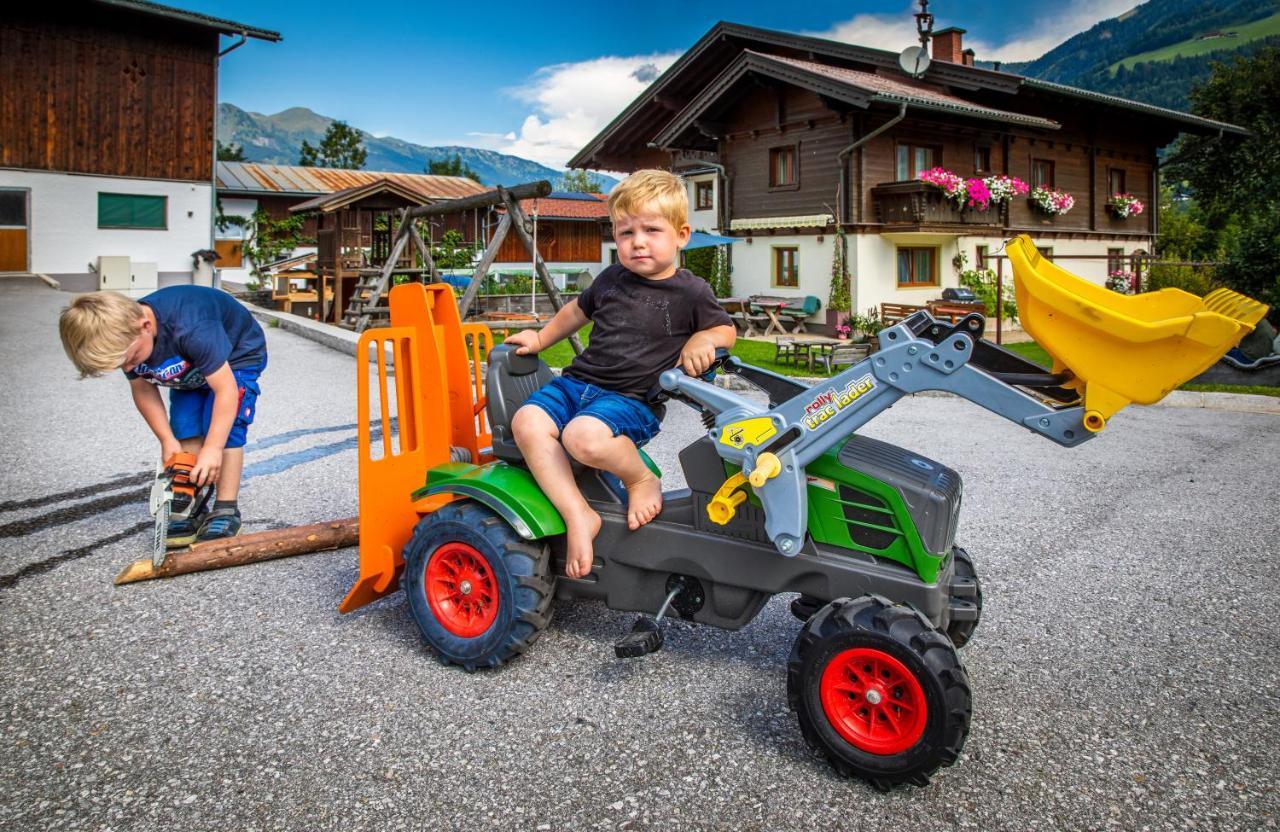 Bio Bauernhof Schweizerhof Villa Bad Hofgastein Dış mekan fotoğraf