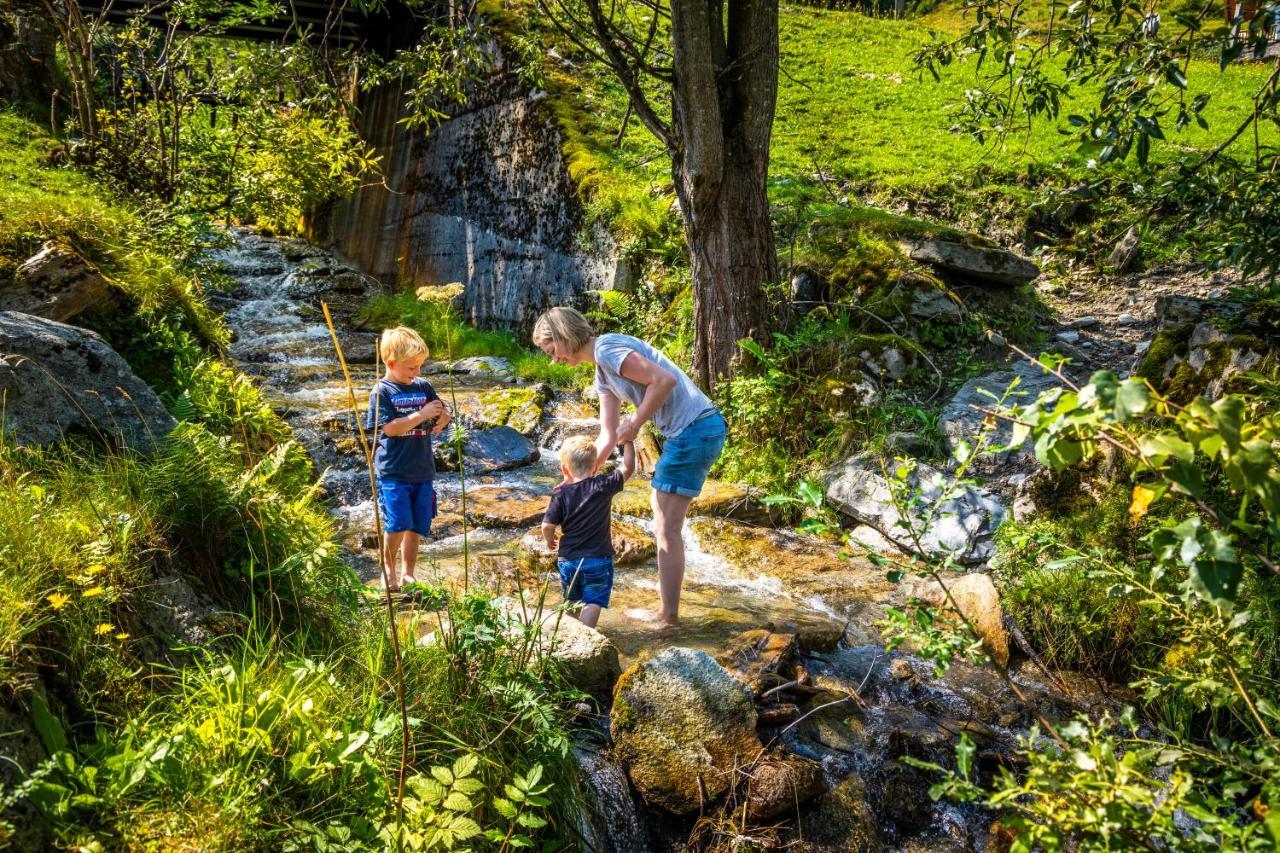 Bio Bauernhof Schweizerhof Villa Bad Hofgastein Dış mekan fotoğraf