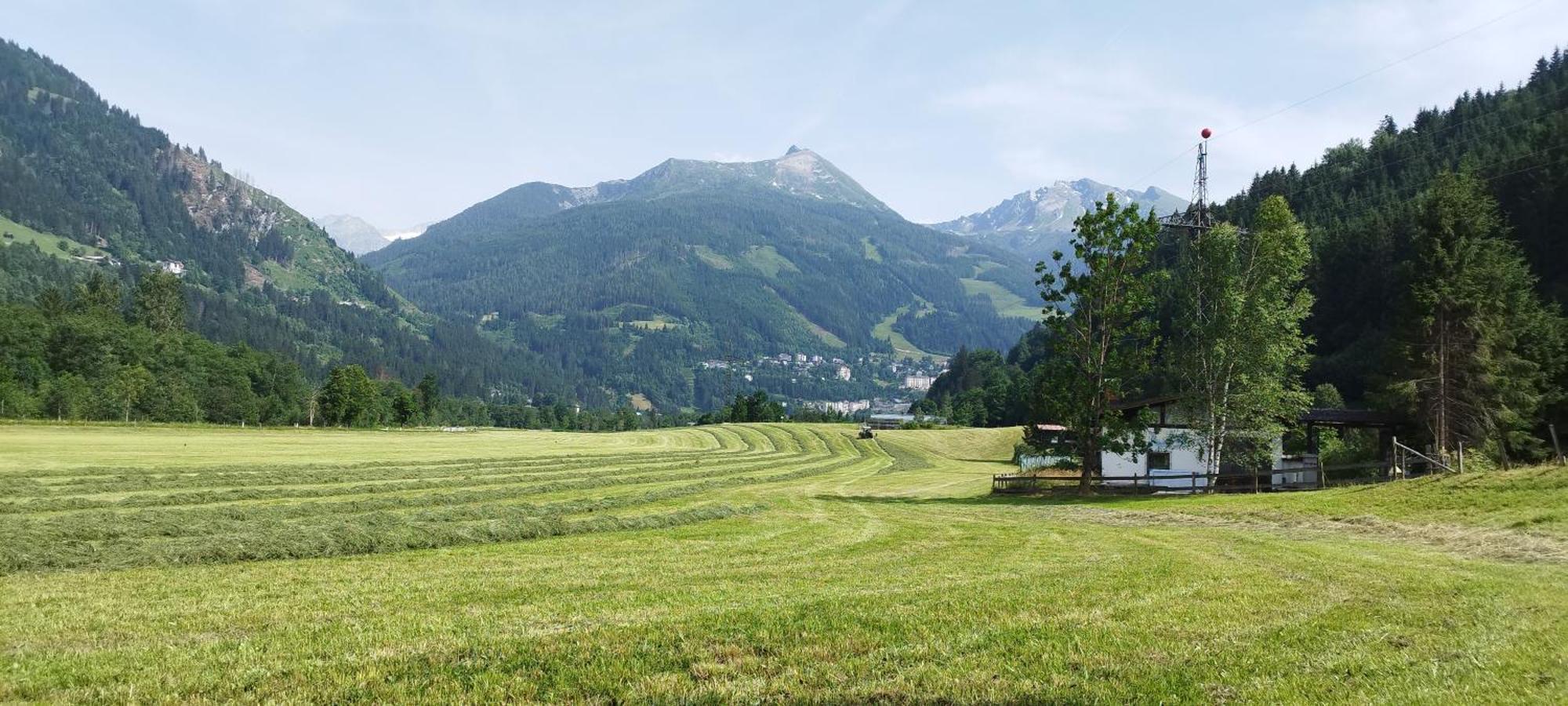 Bio Bauernhof Schweizerhof Villa Bad Hofgastein Dış mekan fotoğraf